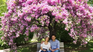 Cet arbre pousse aussi vite que le bambou et sa floraison spectaculaire en fait son atout majeur