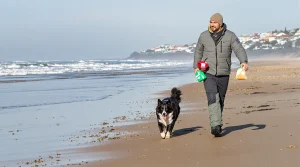 Pays basque : « Voir son chien courir sur le sable est un plaisir irremplaçable ! » ils réclament le retour des chiens sur les plages de Saint-Jean-de-Luz et Ciboure