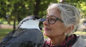 Devenir expert en observation des oiseaux stimule vos capacités cognitives, voici pourquoi