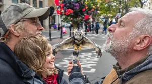 Rare en ville hier, désormais fréquent : cet oiseau majestueux s’installe hors des campagnes et offre un magnifique spectacle aux citadins